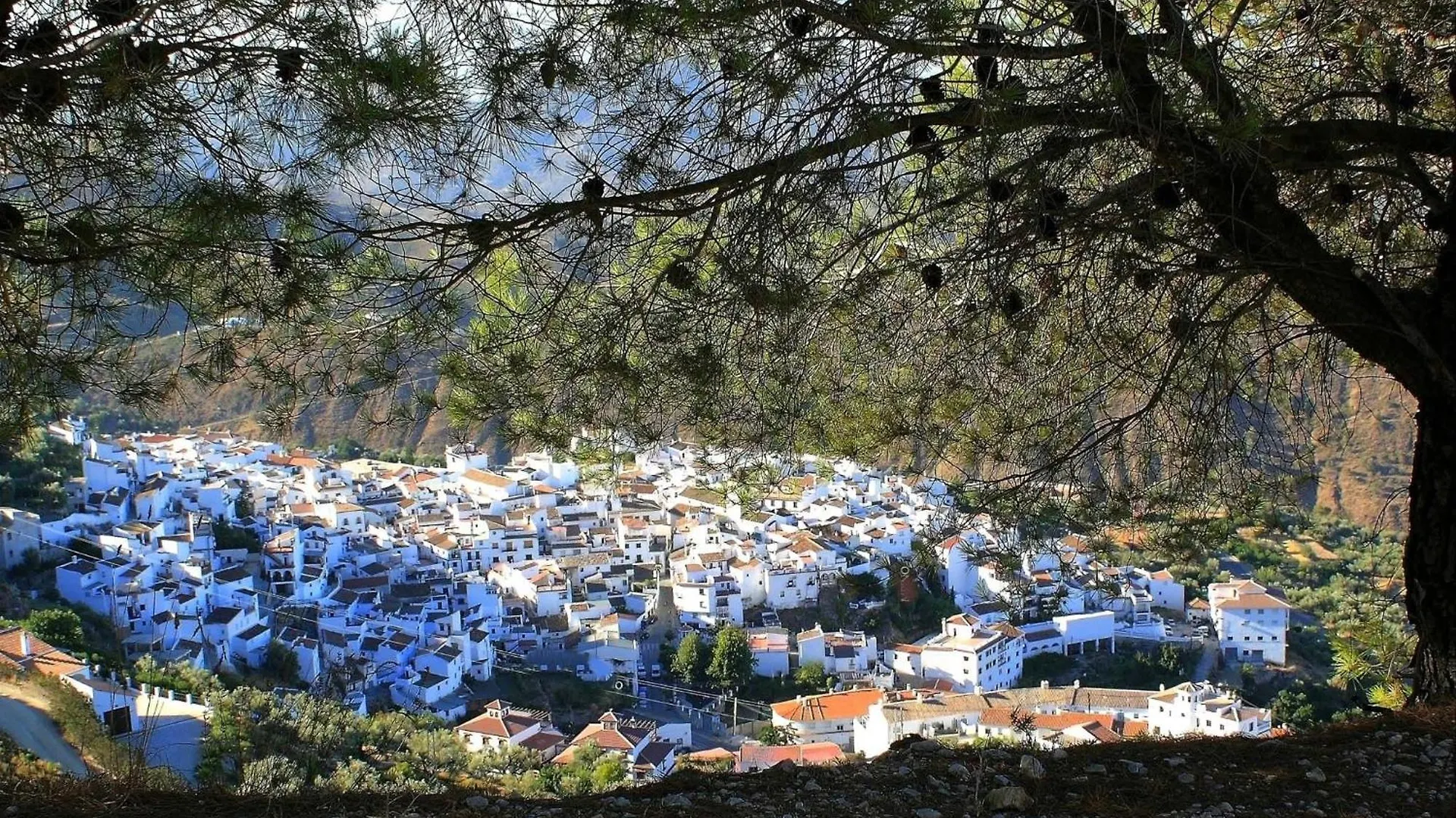 Mi Casa Es Su Casa Villa Sedella Spain